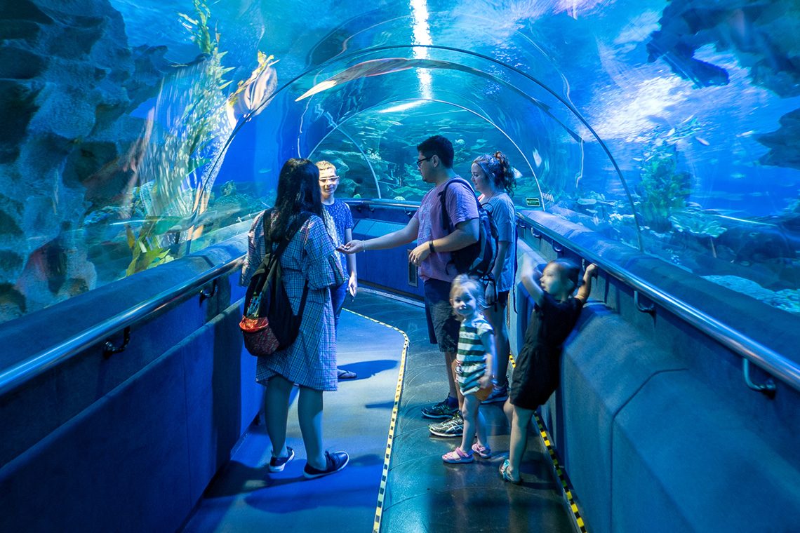 Aquaria KLCC Ticket – Kuala Lumpur, Malaysia